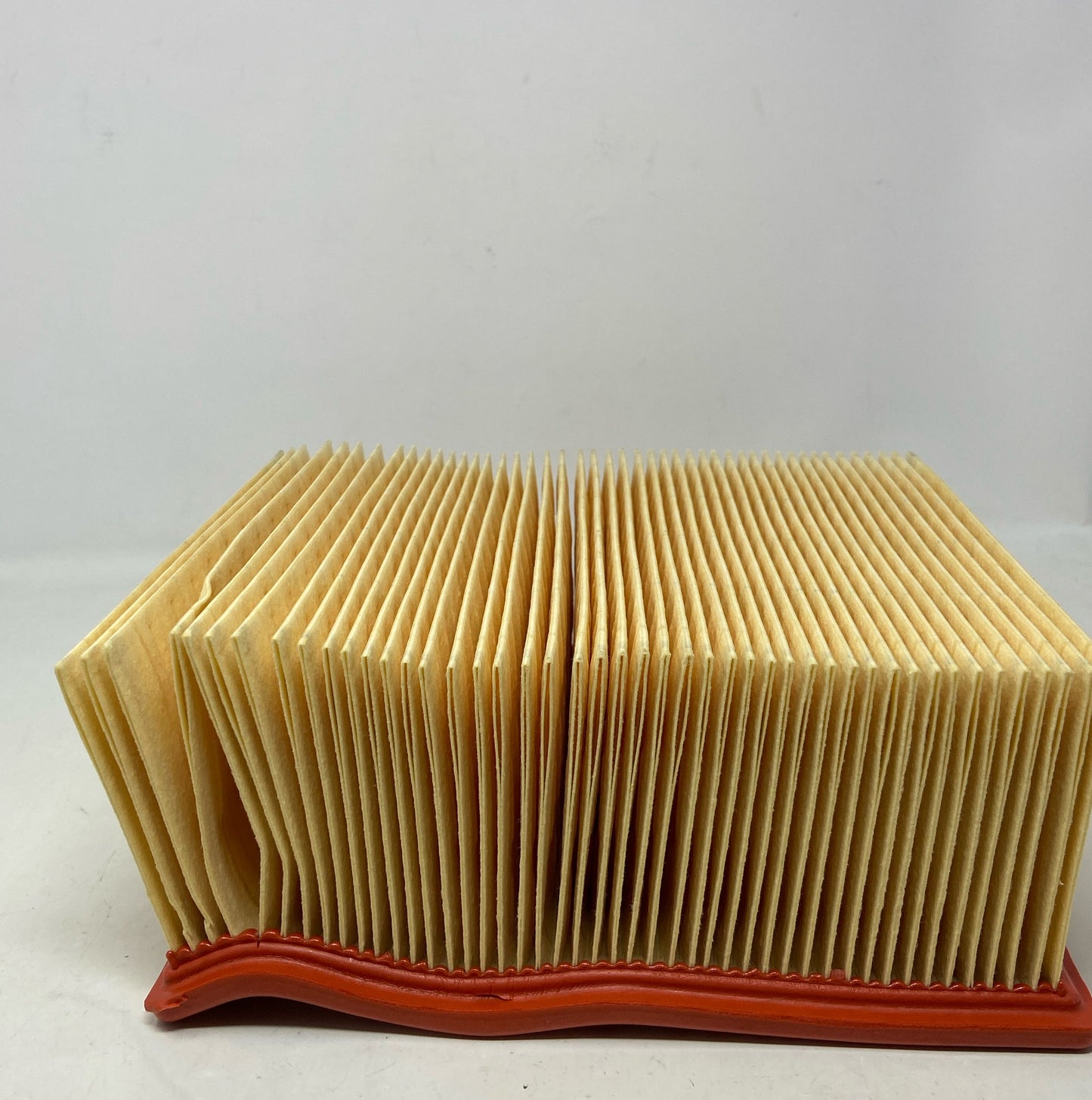 Bottom-LPNO423037797