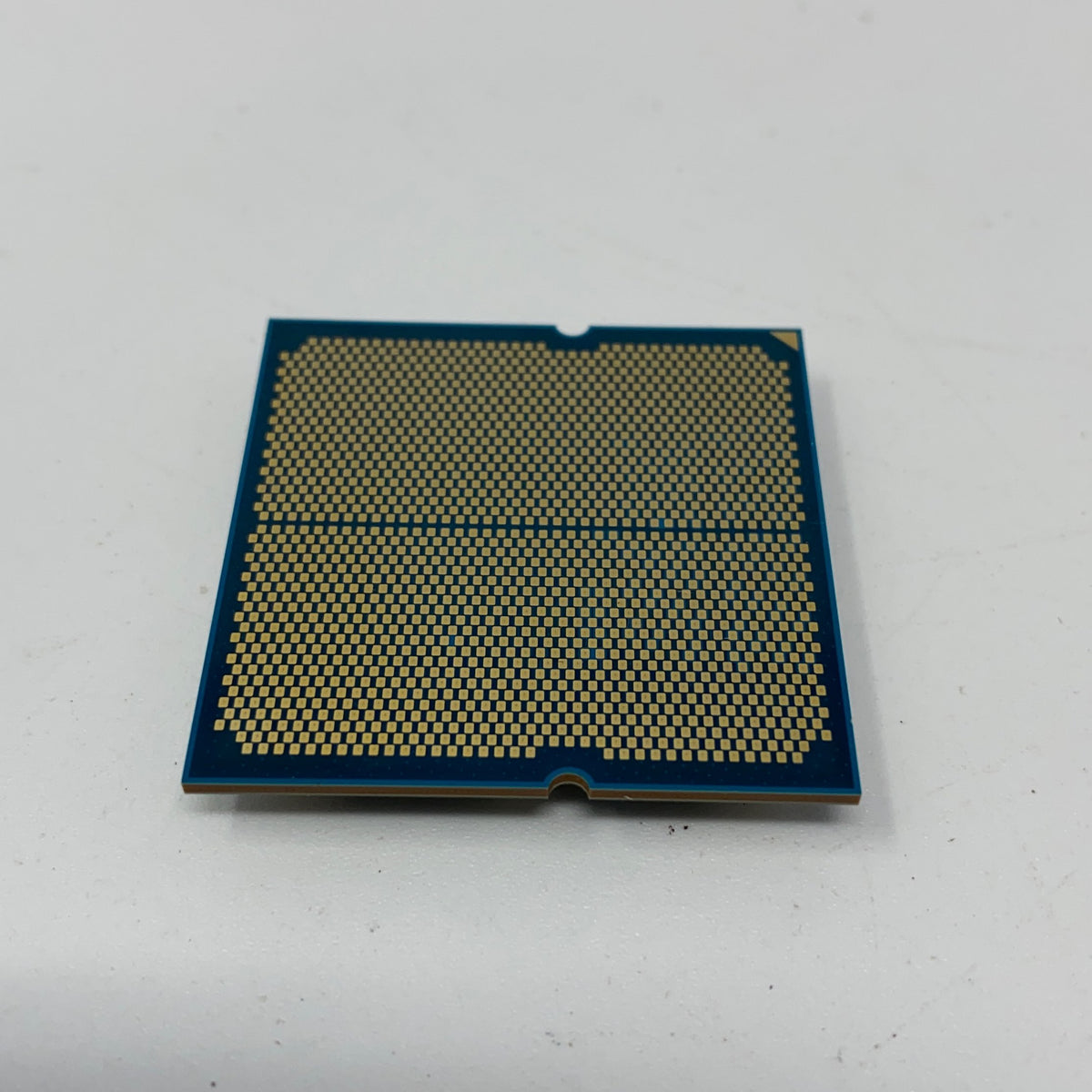 Bottom-LPNO625459426