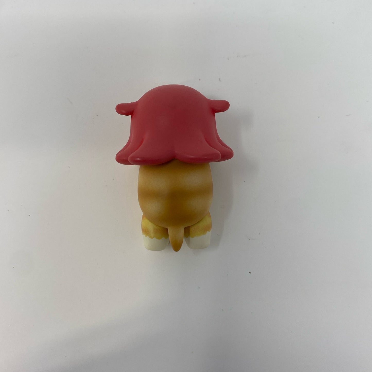 Bottom-LPNPMGO0635571
