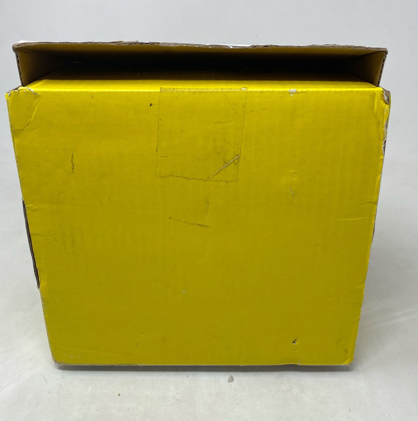 Bottom-LPNO449004364