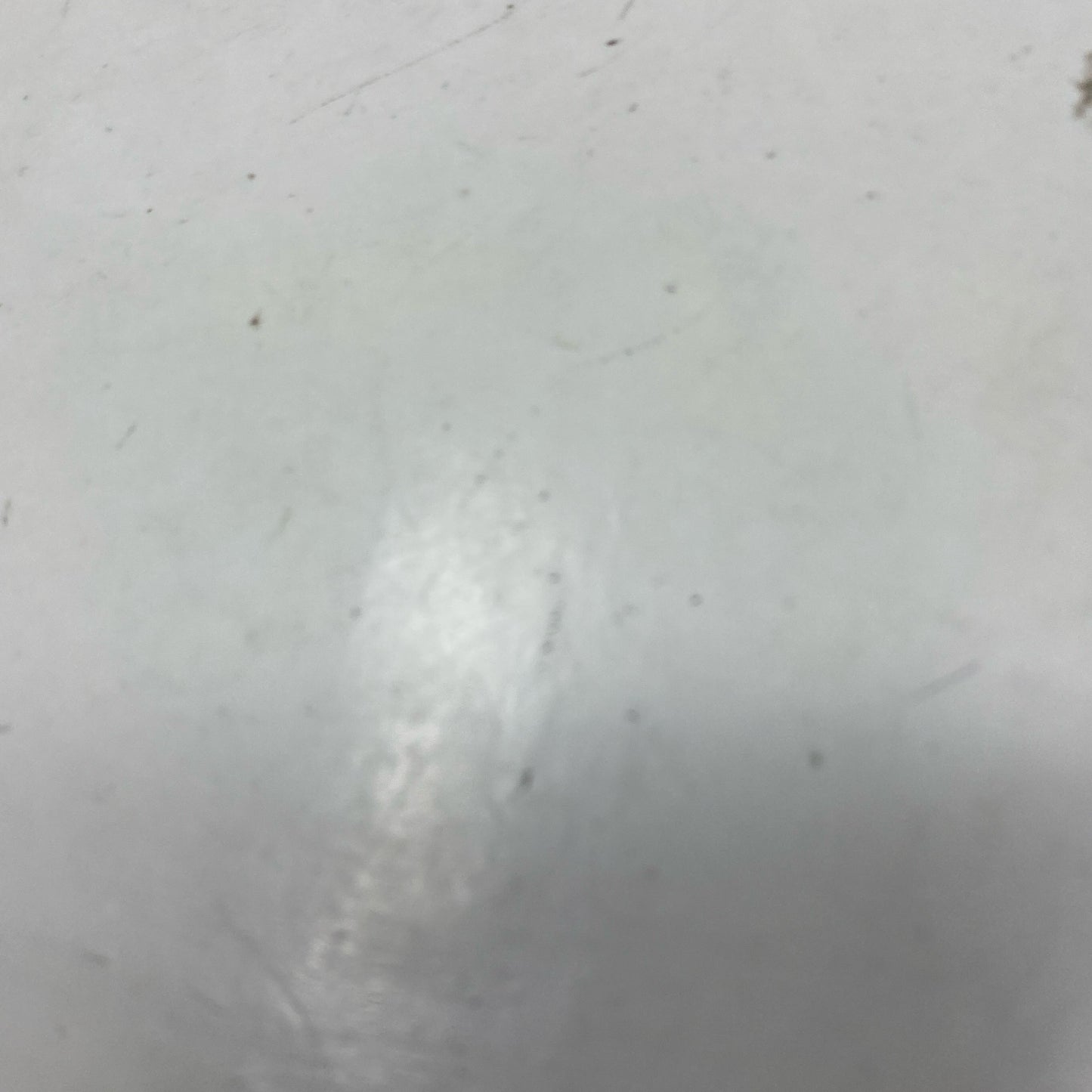 Bottom-LPNO555873781