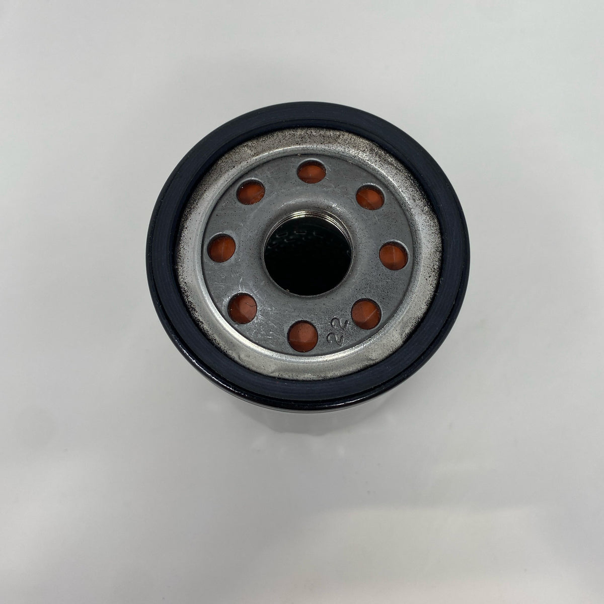 Bottom-LPNO564884596