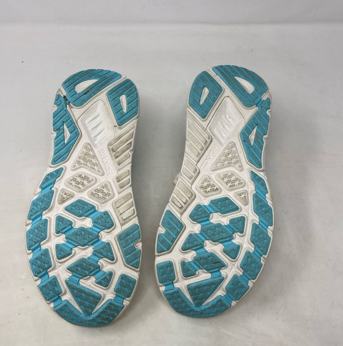 Bottom-LPNO417359598