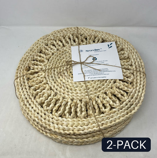 bundle-BUPIN6a71a0ZH93P