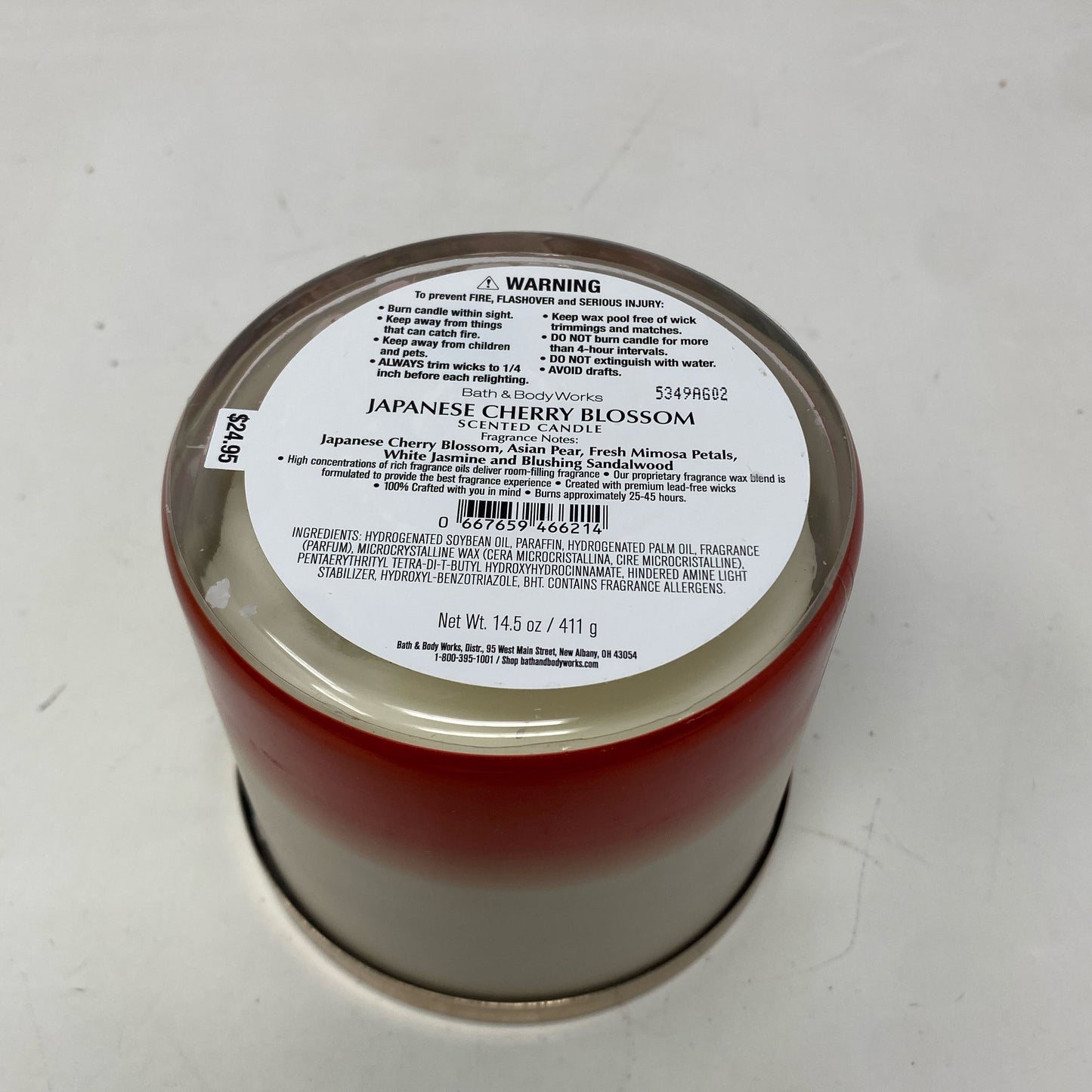 Bottom-LPNO513789779