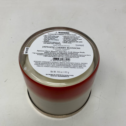 Bottom-LPNO513789779