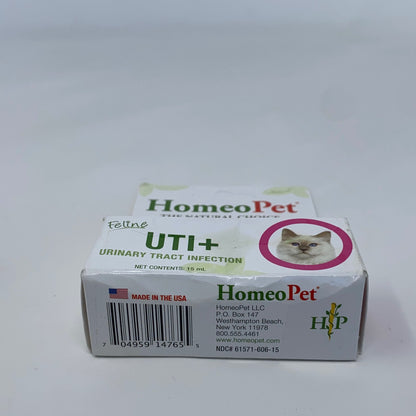 Bottom-UNT380679GHJ
