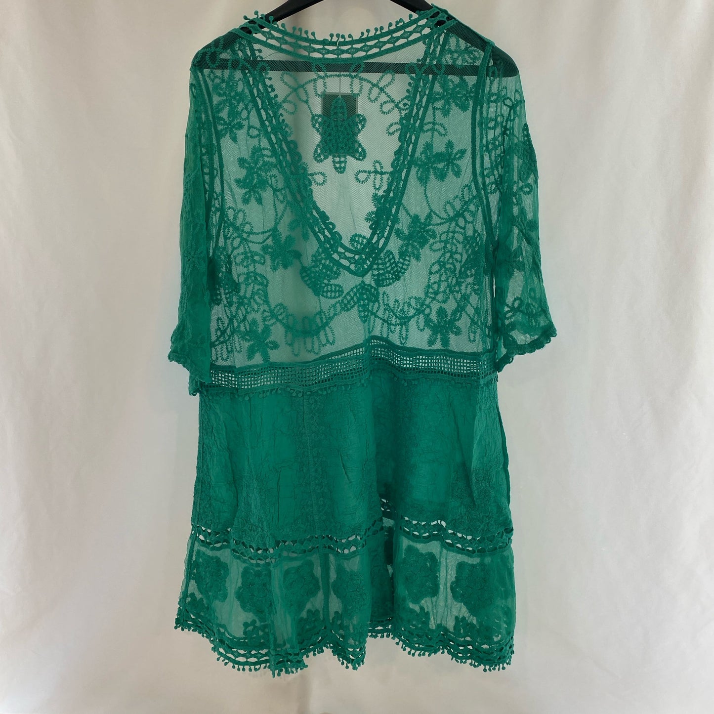Back-UNT183352137