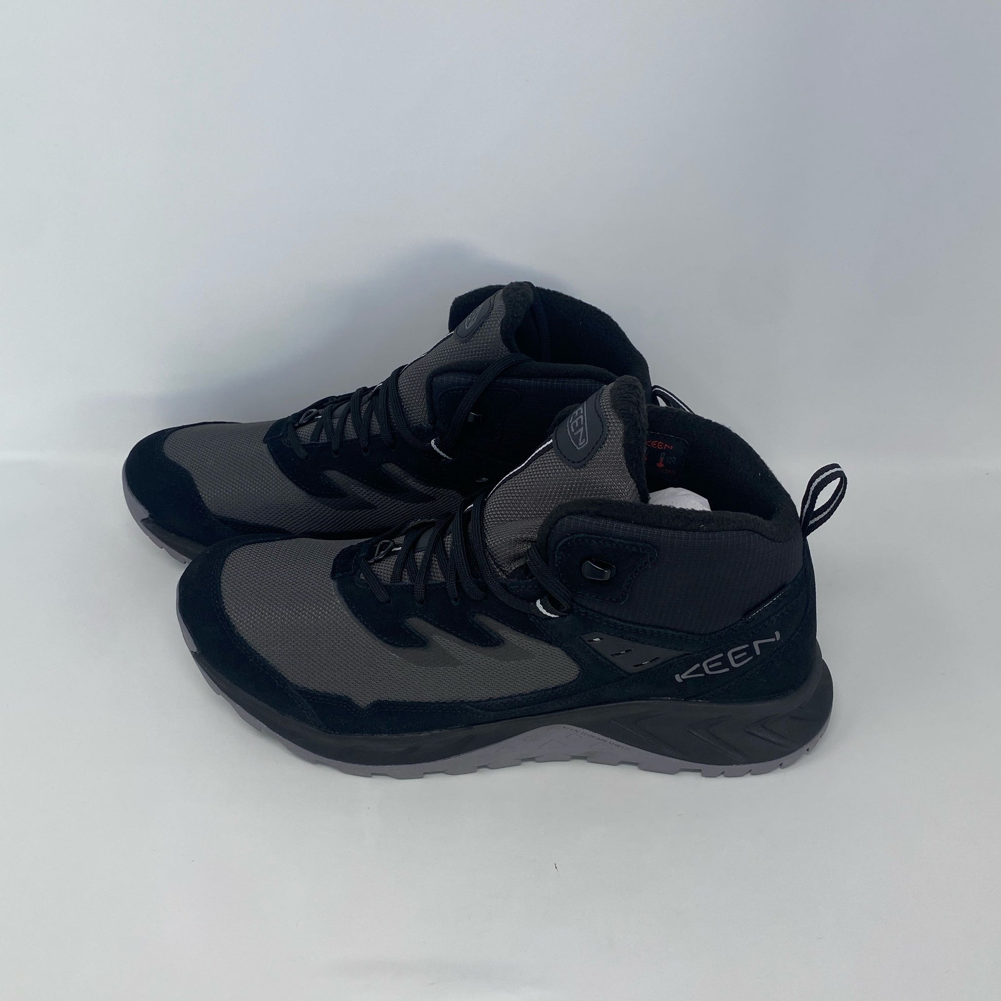 Back-LPNO533035815