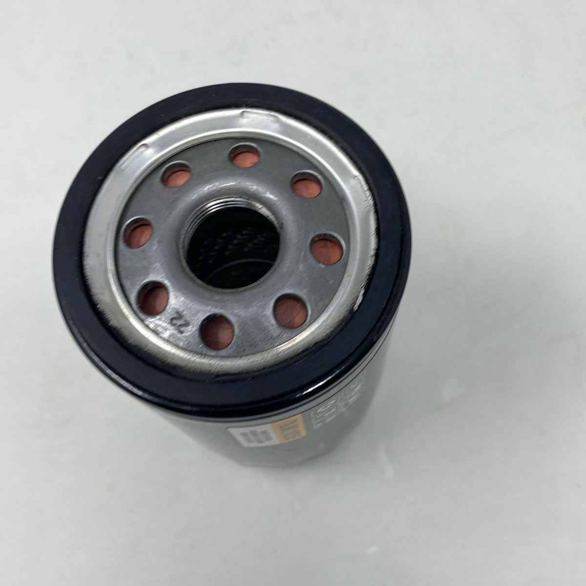 Bottom-LPNNE6J56M873