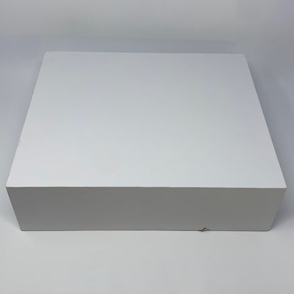 Left-LPNO580824081