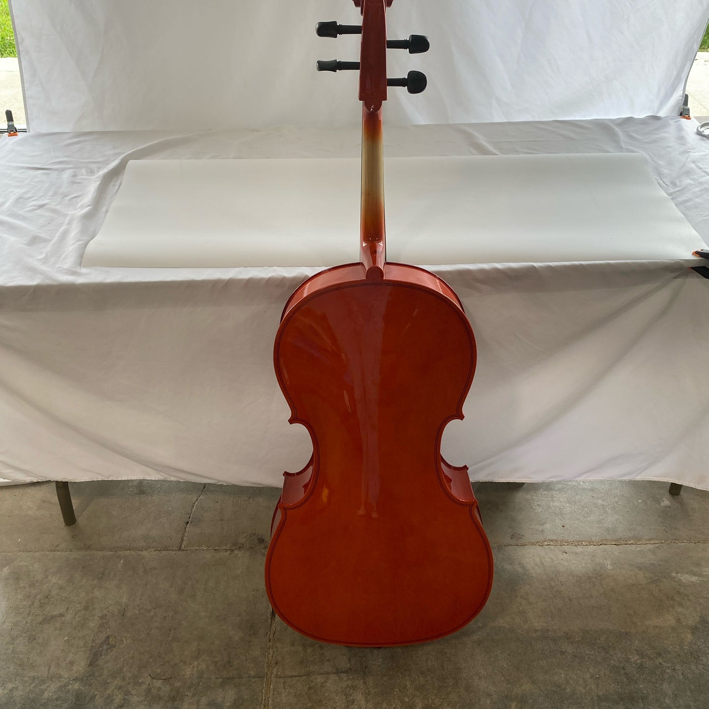 Back-UNT978143FPW