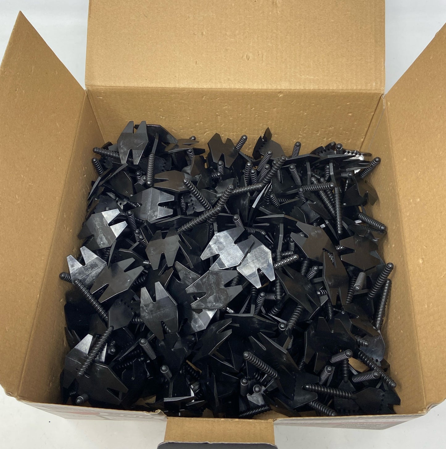 Bottom-LPNPMEZ3253541