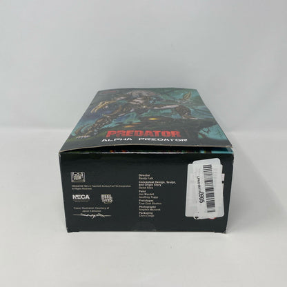 Bottom-LPNO564140905