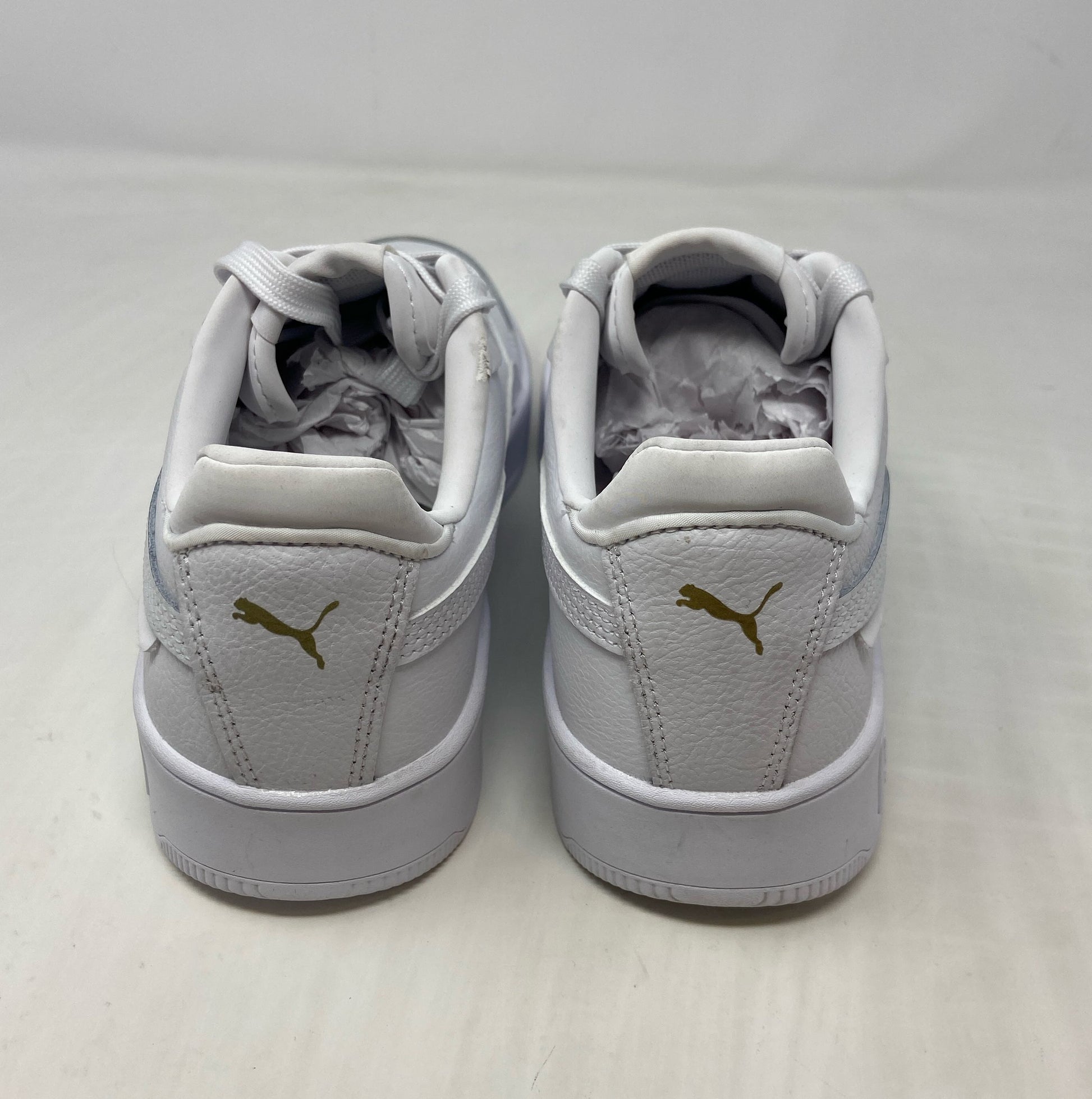 Right-LPNPMFB6061519