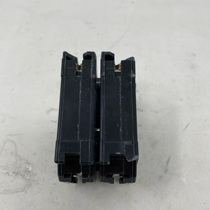 Right-LPNO563502809