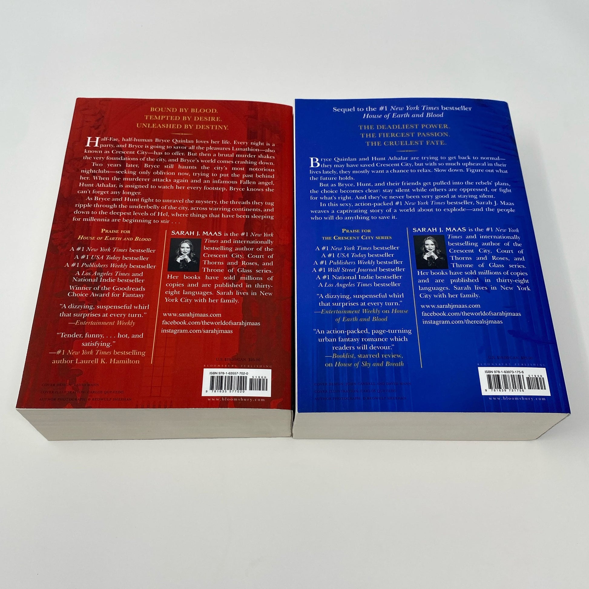 Back-LPNAC601516816
