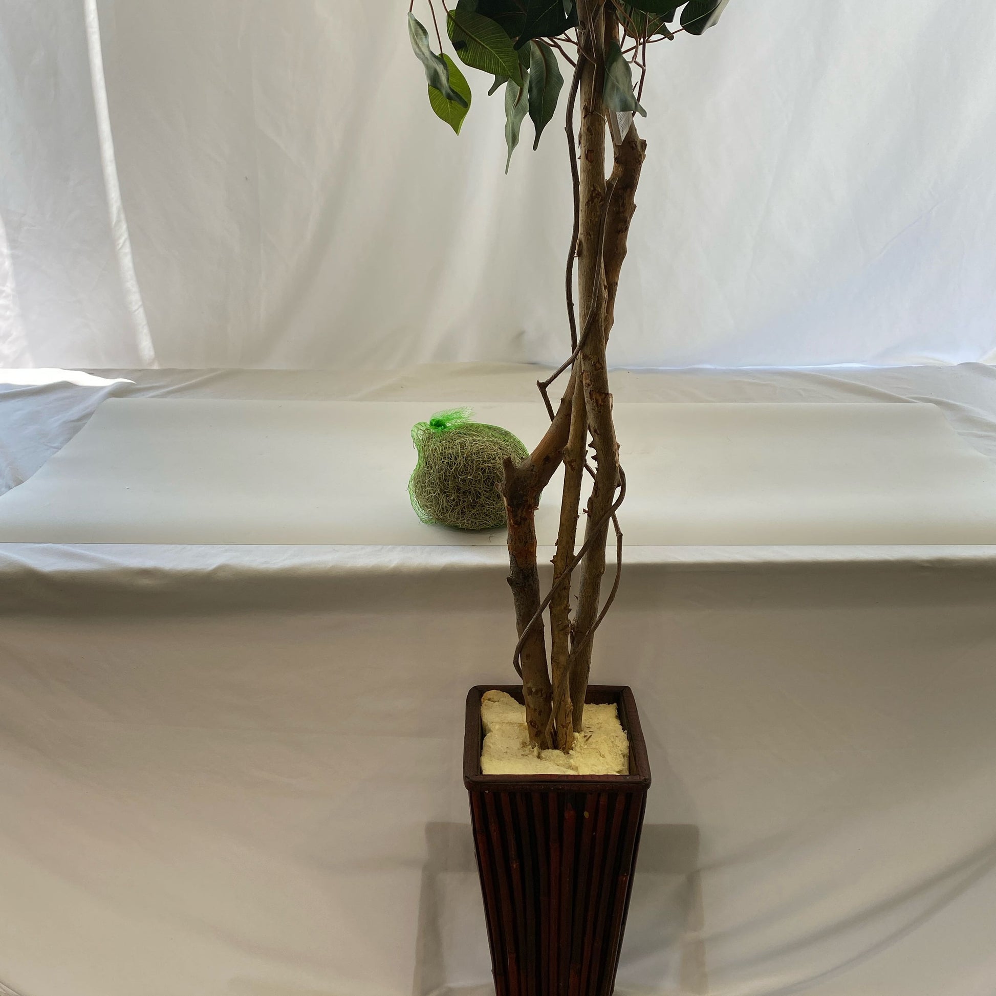 Back-UNT856393UD4