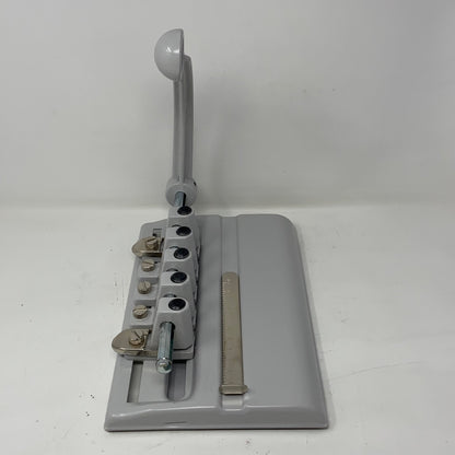 Right-LPNAC256805765