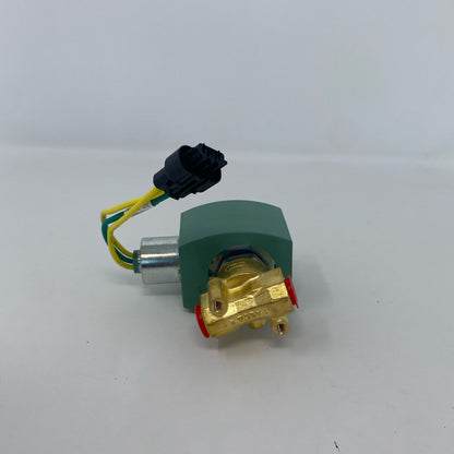 Back-UNT908495OV6