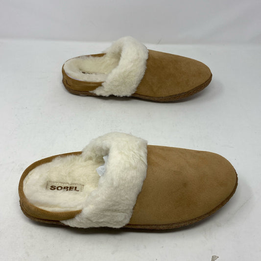 Front-LPNAC585063913