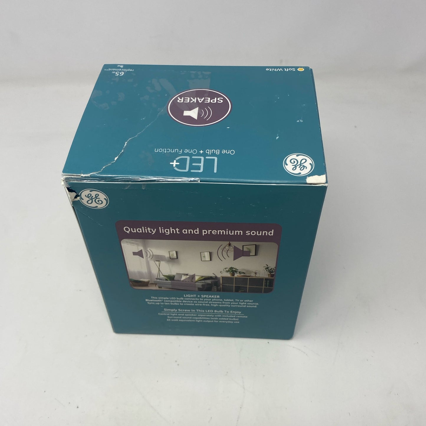 Back-UNT4826398MT