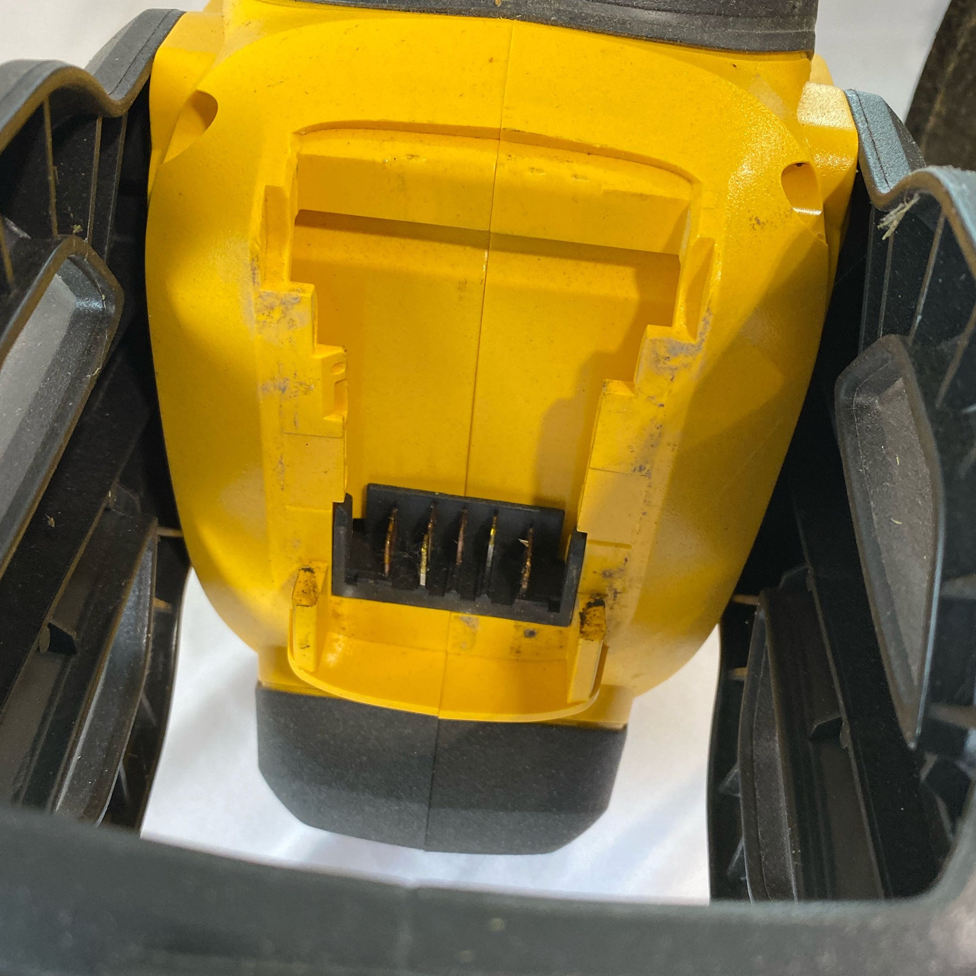 Bottom-LPNO489550274