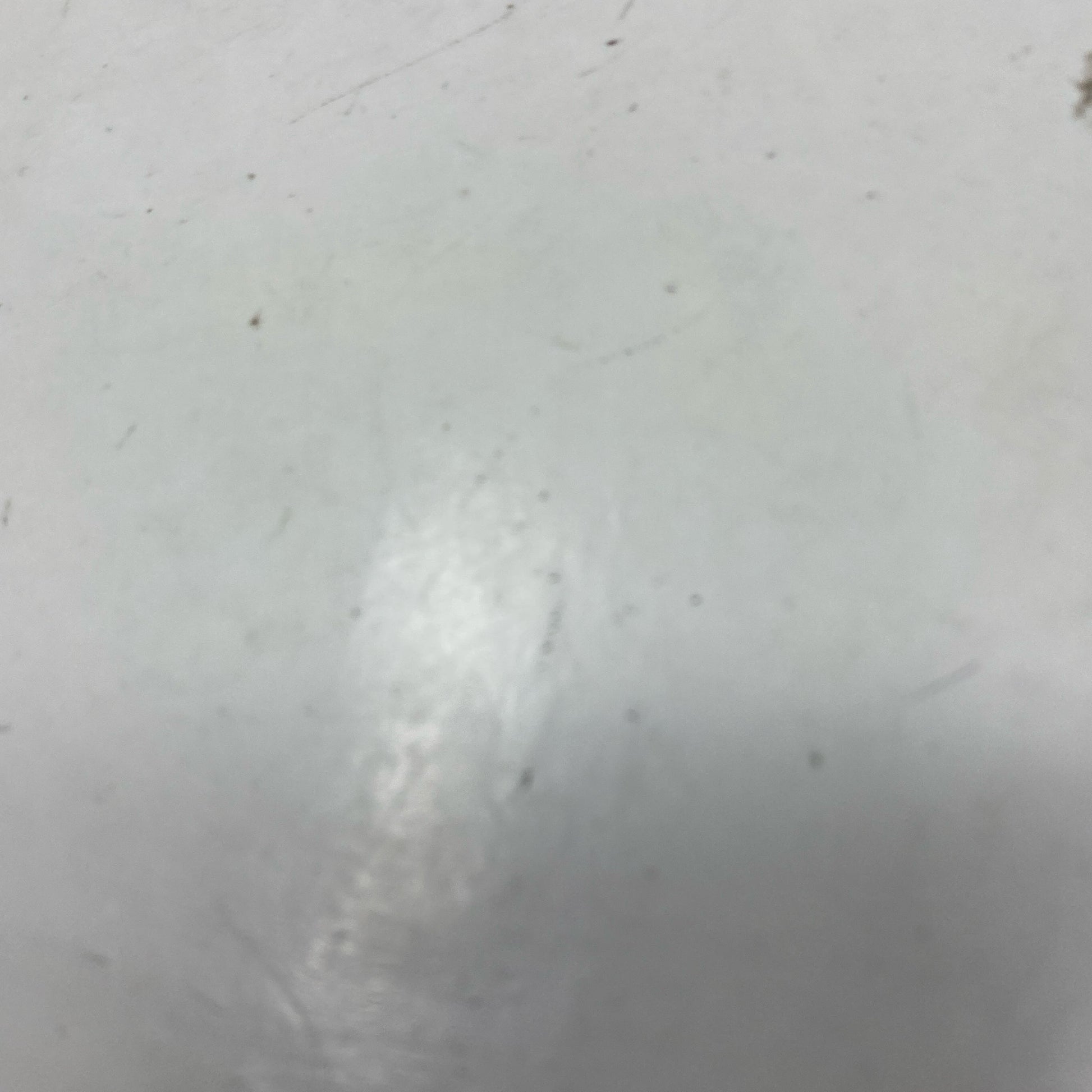 Bottom-LPNO555873781