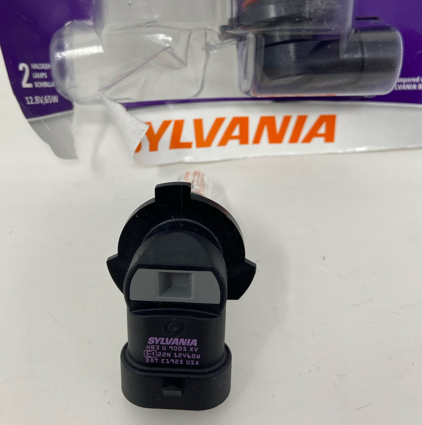 Bottom-LPNO413491905