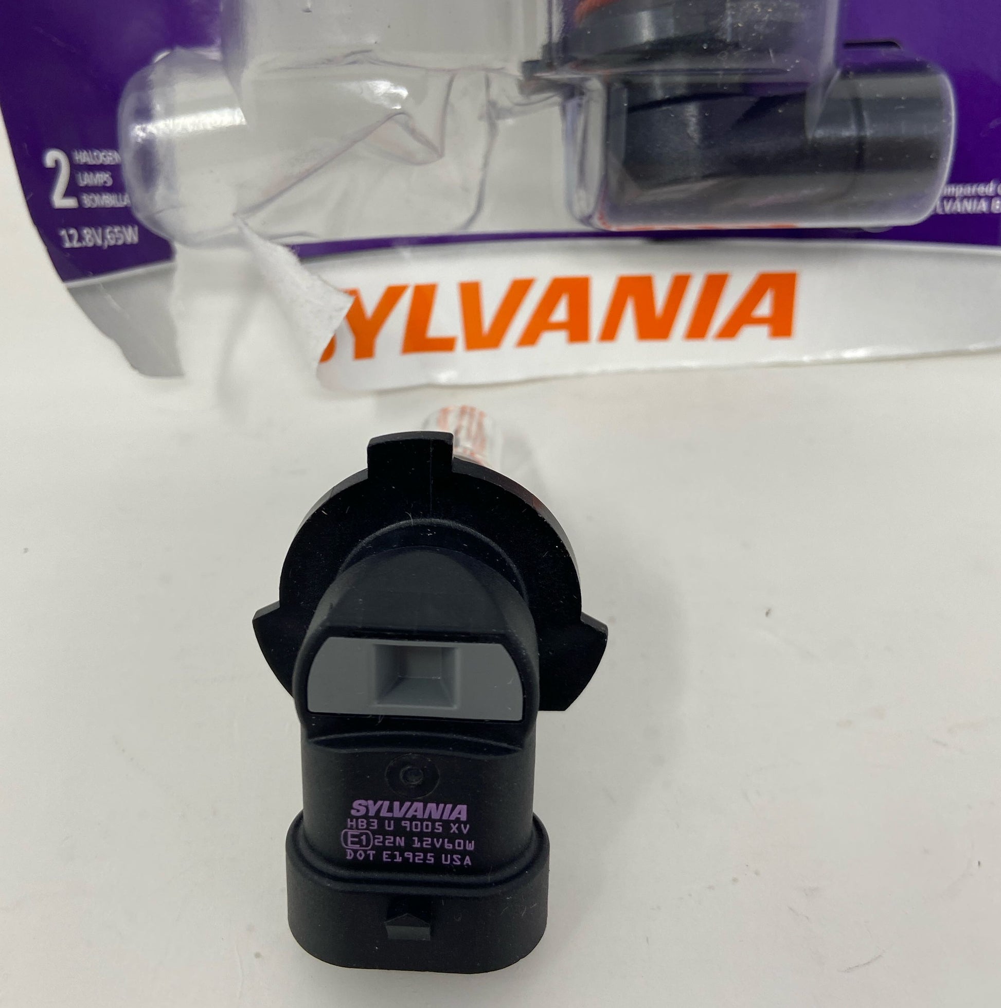 Bottom-LPNO413491905