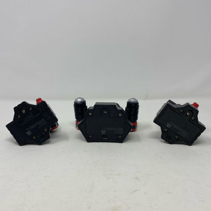 Bottom-LPNO568408333