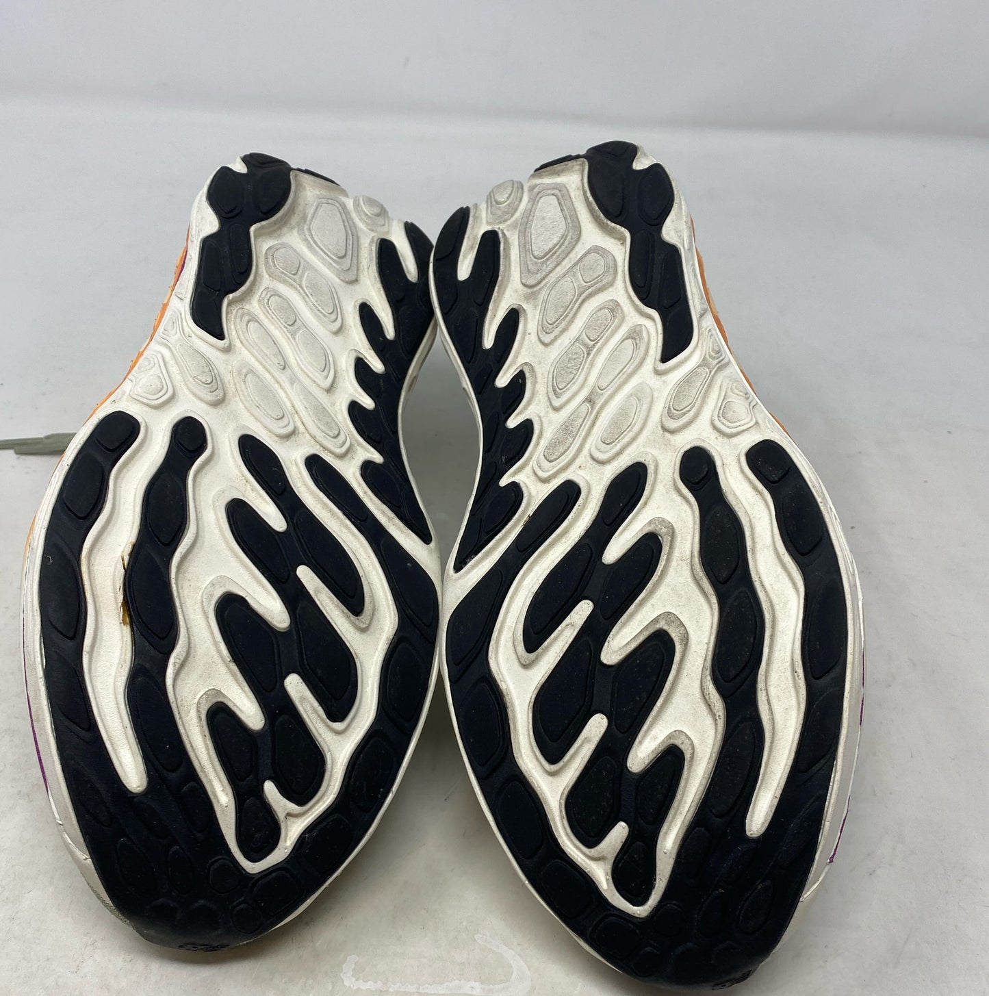 Bottom-LPNO439285708