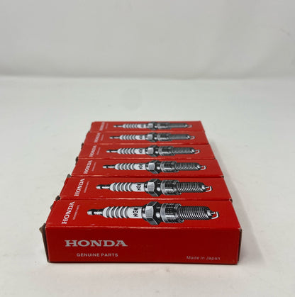 Right-LPNAC715854403