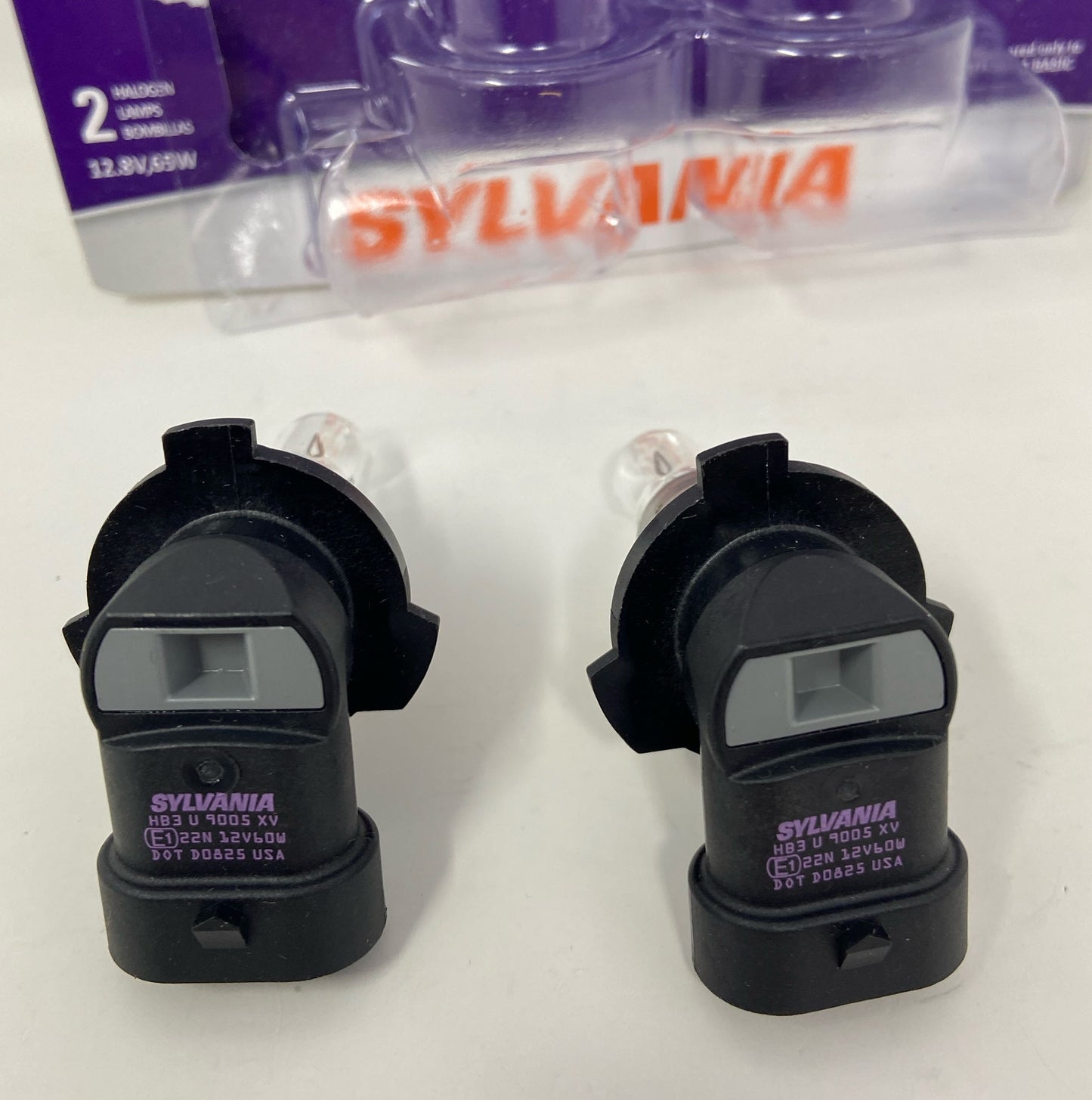 Bottom-LPNO408753392