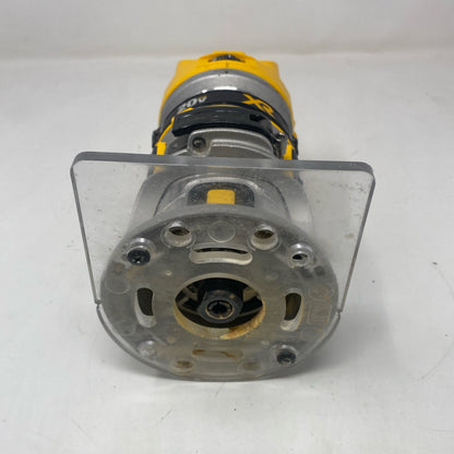 Bottom-LPNO596769456