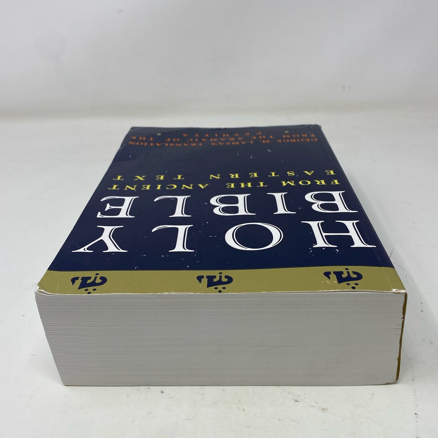 Back-LPNO485417399