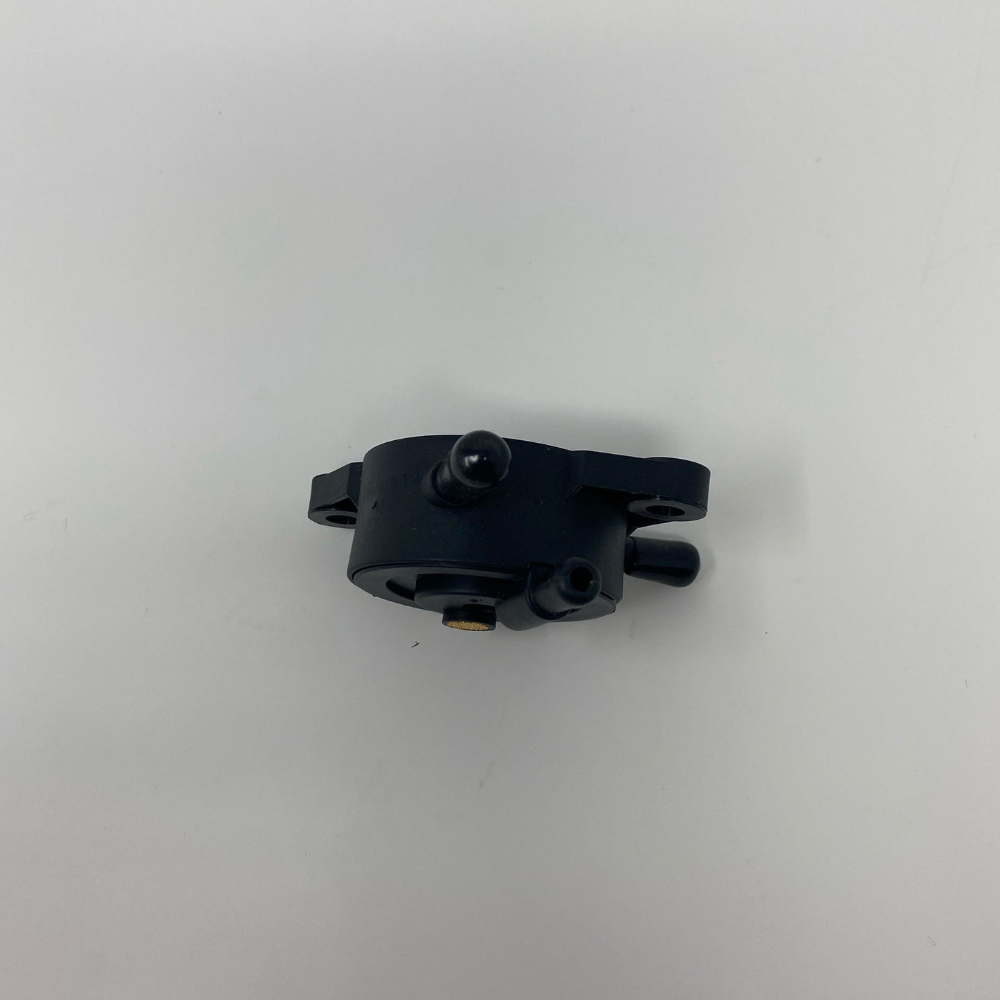 Bottom-LPNO548624610