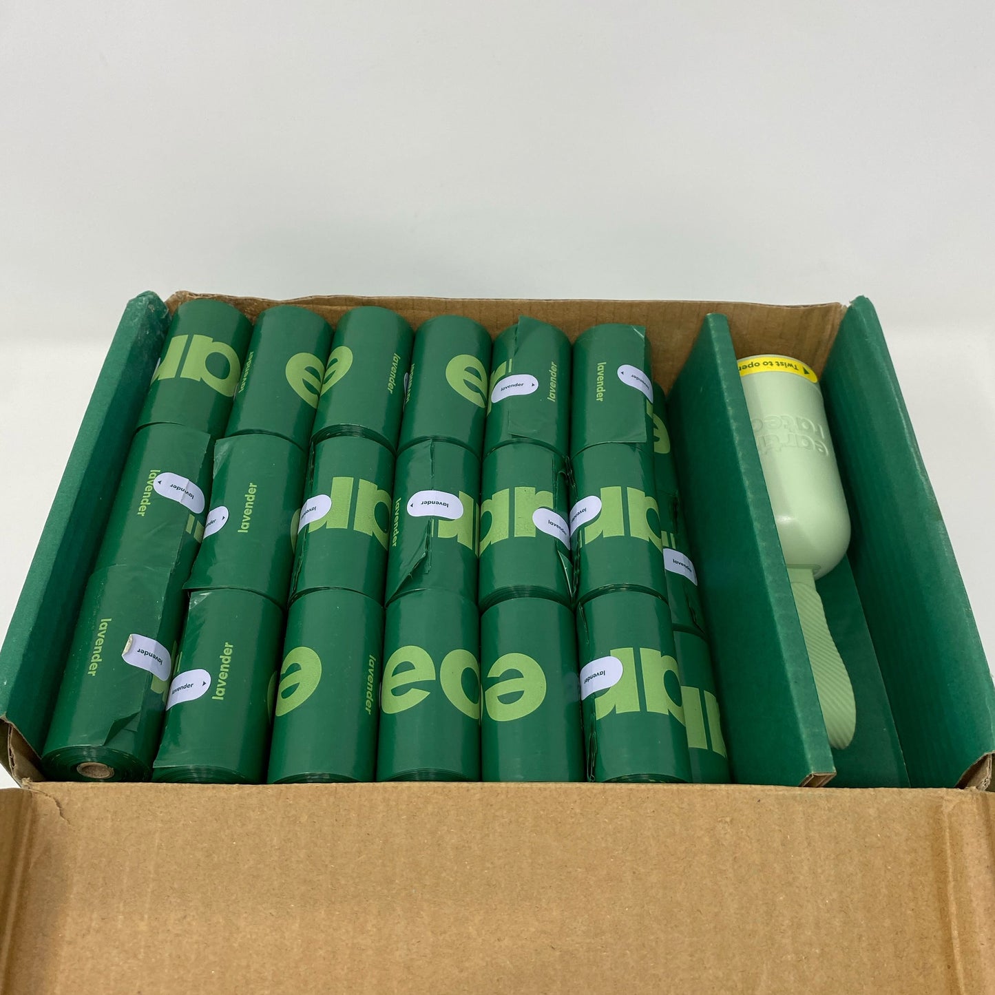 Back-UNT307365CUU