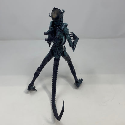 Back-LPNPMGT6550584