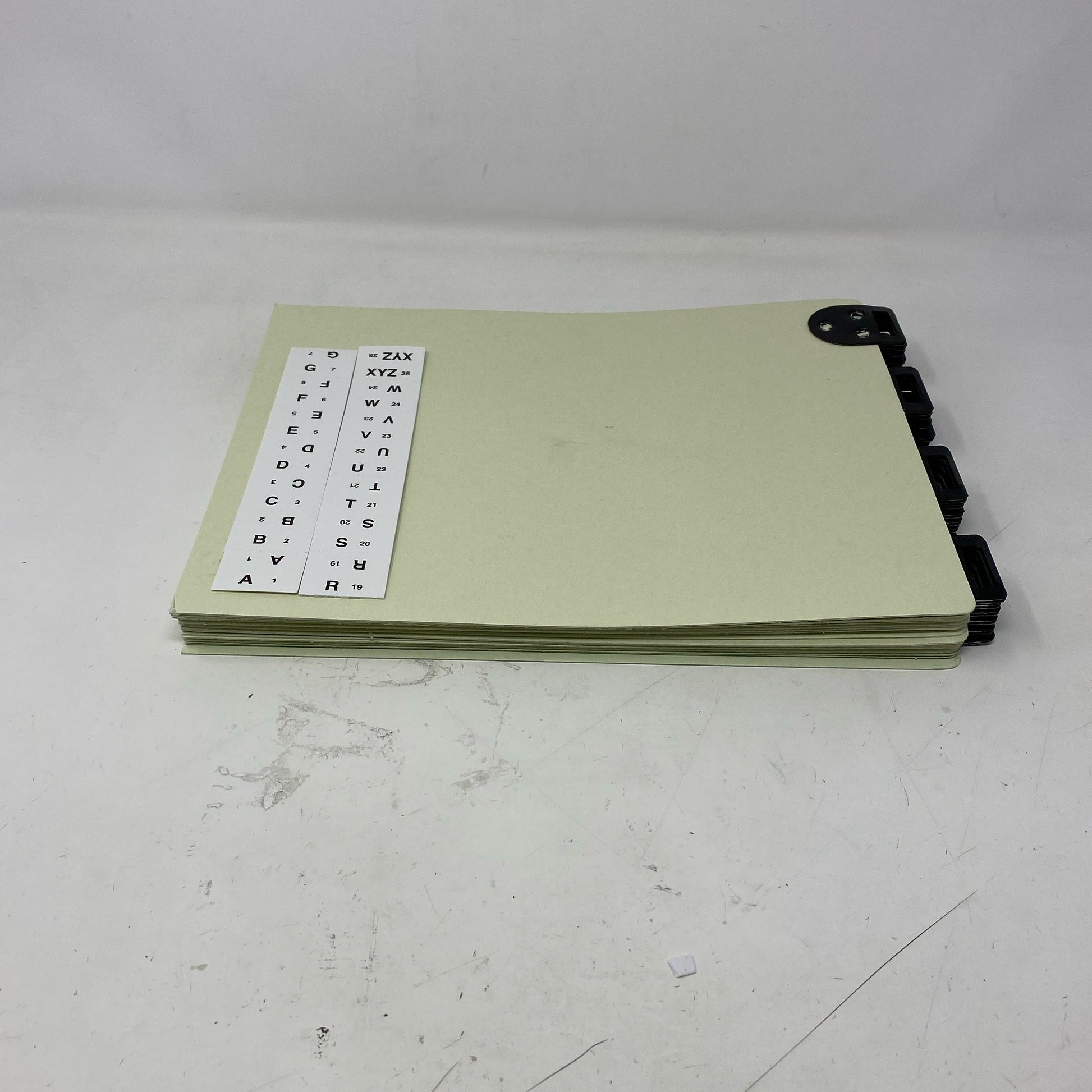 Back-LPNO545833017