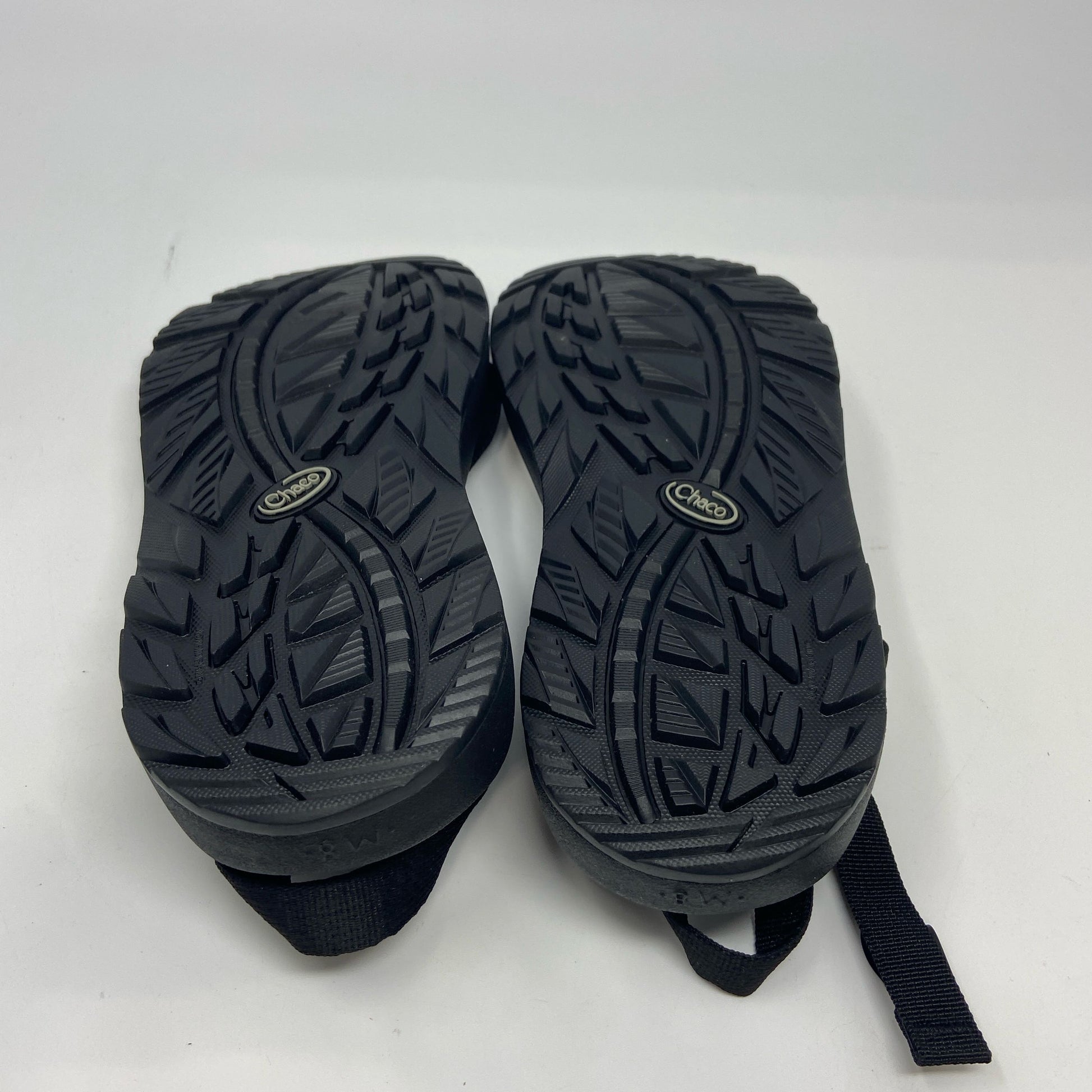 Bottom-LPNT100067304