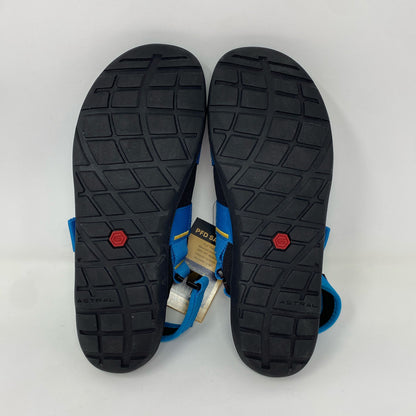 Bottom-LPNO596718357