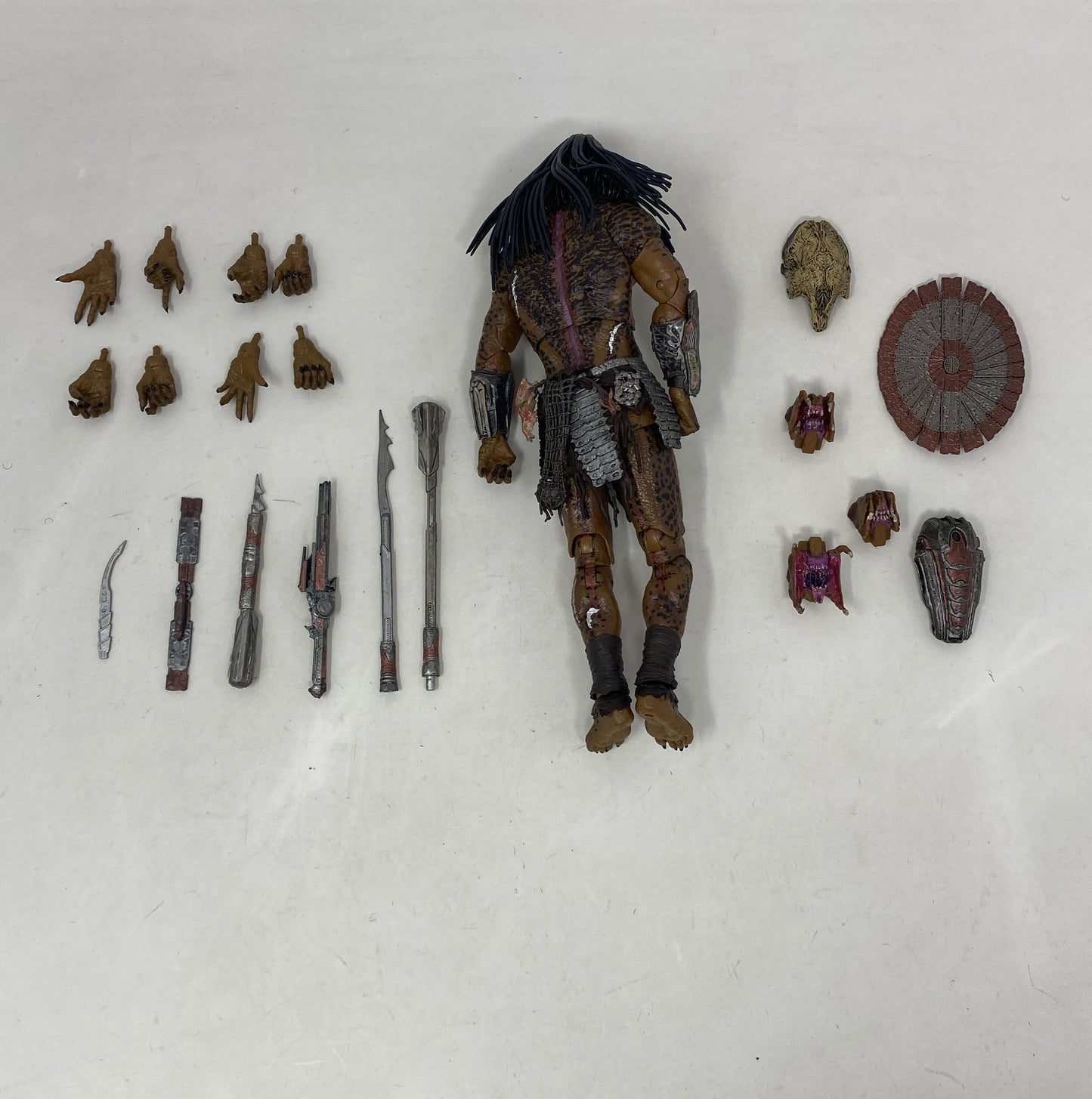 Bottom-LPNO407888284