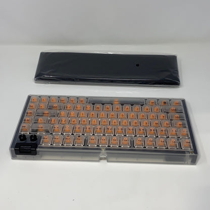 Back-LPNGSAJ2912546