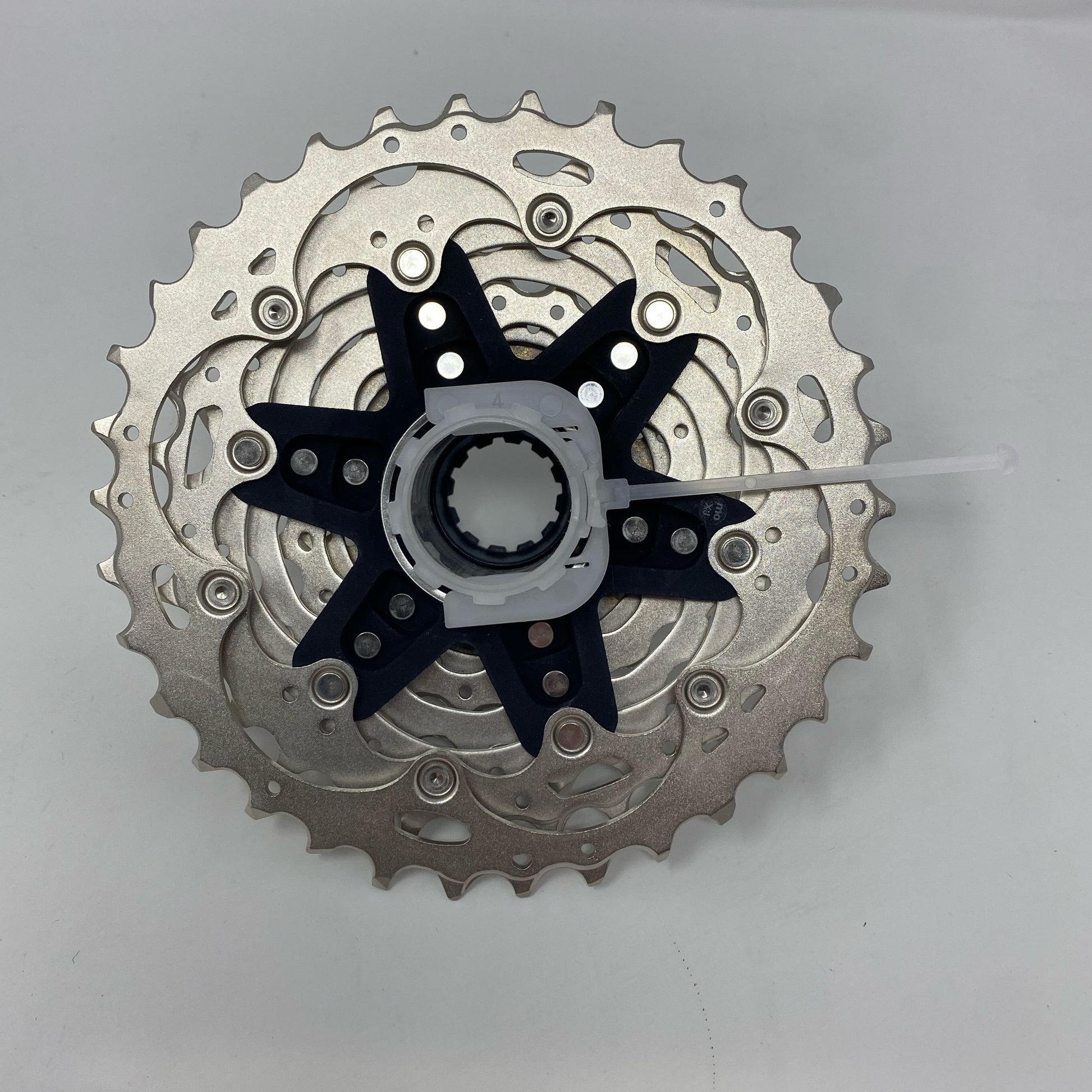 Bottom-LPNO594051826
