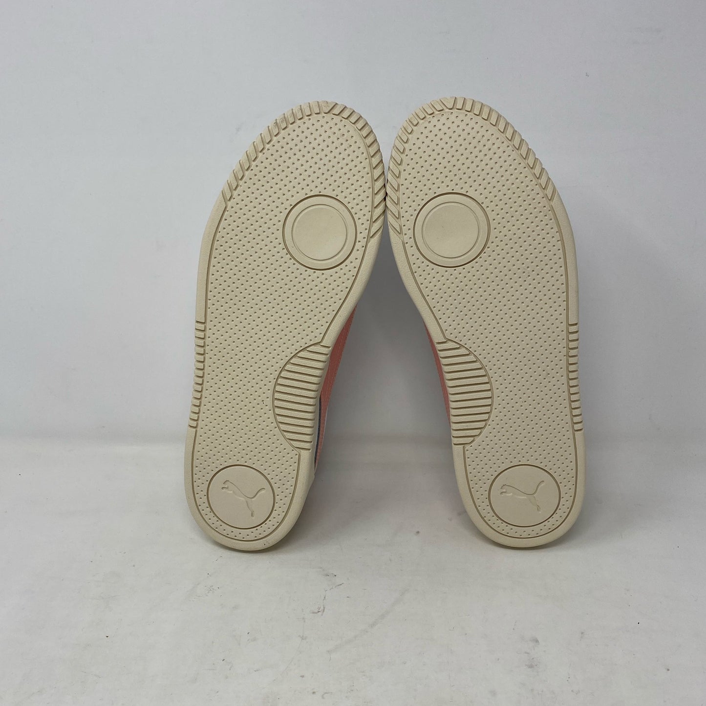 Bottom-LPNT081001702