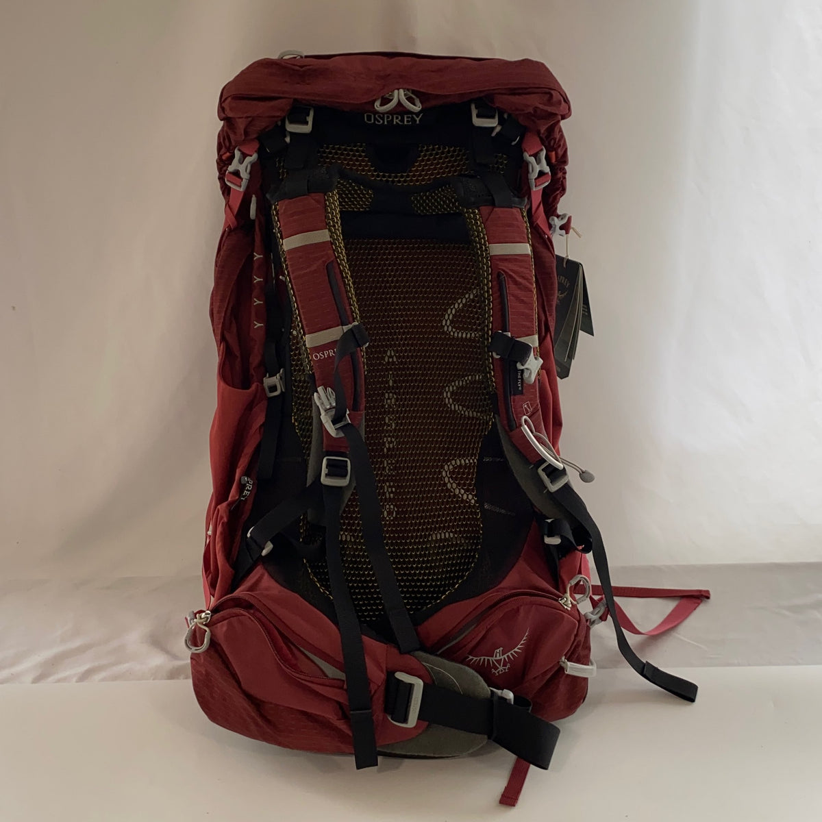 Back-UNT185592EDK