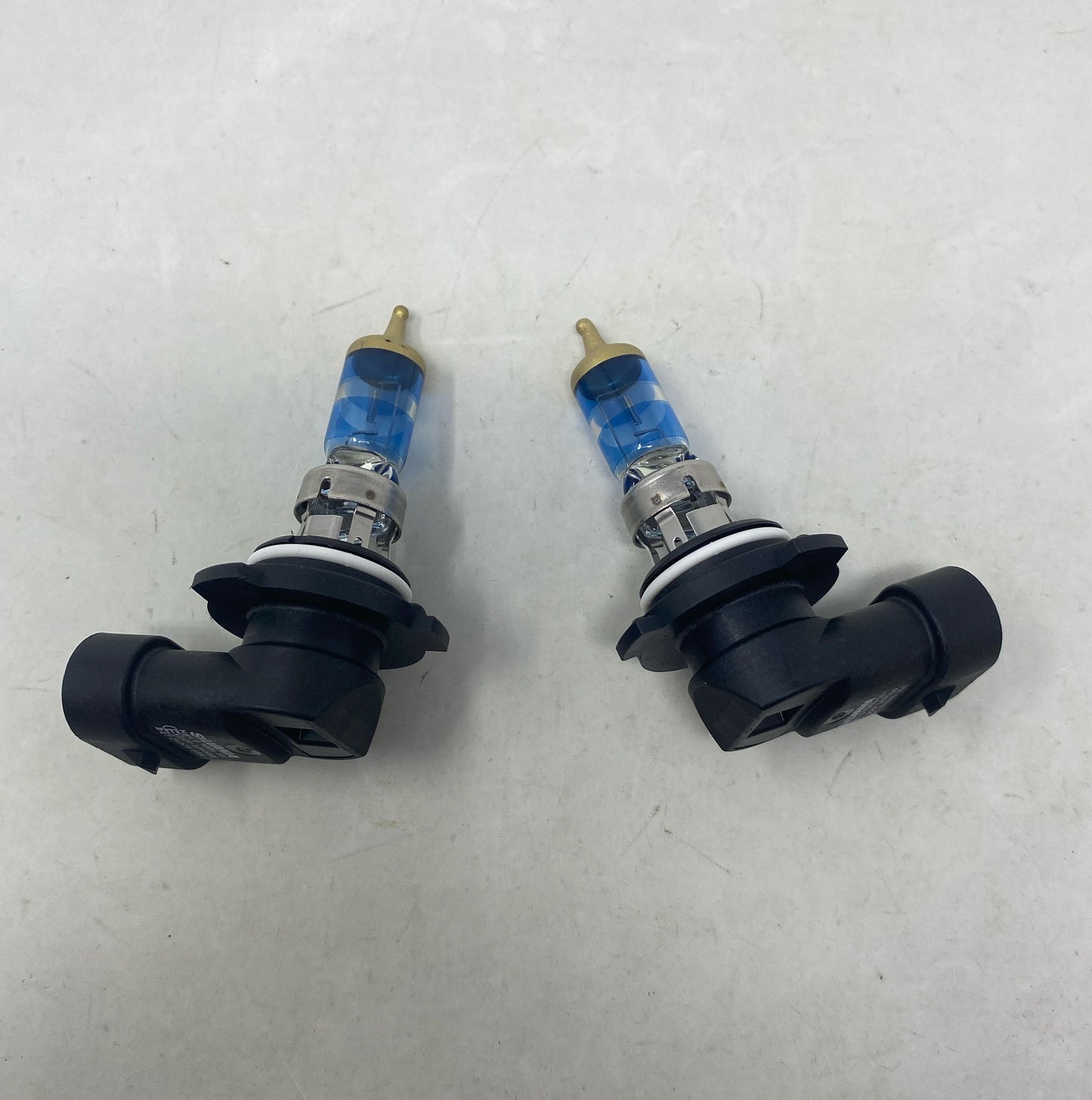 Bottom-LPNO423882967