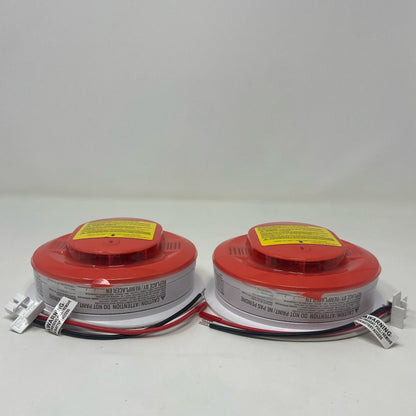 Bottom-LPNO559673402