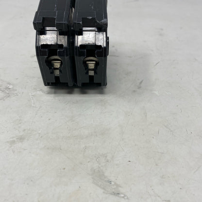 Bottom-LPNO563502809